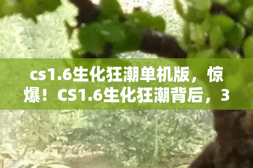 cs1.6生化狂潮单机版,惊爆!CS1.6生化狂潮背后,300万预算隐情让人吓一跳! cs1.6生化狂潮单机版,惊爆!CS1.6生化狂潮背后,300万预算隐情让人吓一跳!