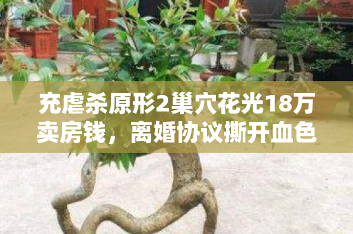充虐杀原形2巢穴花光18万卖房钱，离婚协议撕开血色真相！