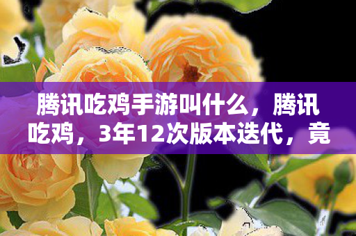 腾讯吃鸡手游叫什么，腾讯吃鸡，3年12次版本迭代，竟藏着让百万玩家破防的终极秘密？
