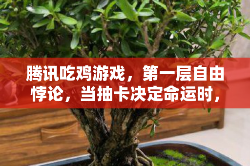 腾讯吃鸡游戏,第一层自由悖论,当抽卡决定命运时,谁在操控吃鸡的上帝之手? 腾讯吃鸡游戏,第一层自由悖论,当抽卡决定命运时,谁在操控吃鸡的上帝之手?
