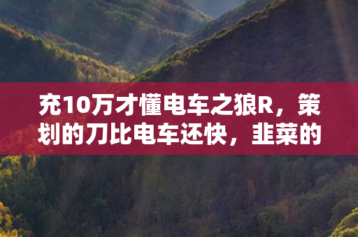 充10万才懂电车之狼R,策划的刀比电车还快,韭菜的命比纸薄! 充10万才懂电车之狼R,策划的刀比电车还快,韭菜的命比纸薄!