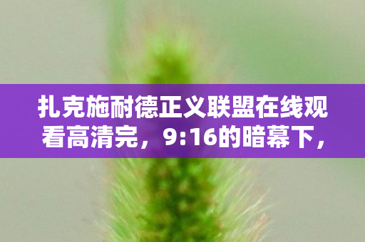 扎克施耐德正义联盟在线观看高清完,9:16的暗幕下,99%的人被困在未完成的正义里 扎克施耐德正义联盟在线观看高清完,9:16的暗幕下,99%的人被困在未完成的正义里
