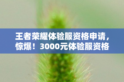 王者荣耀体验服资格申请，惊爆！3000元体验服资格背后隐情，看完真让人吓一跳！