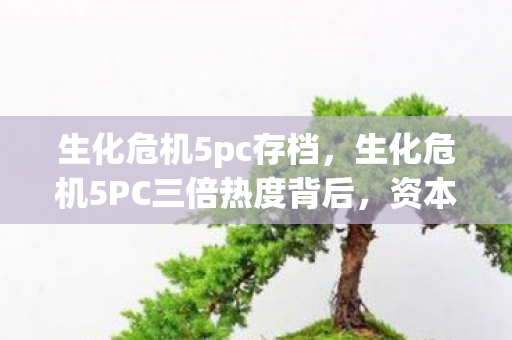 生化危机5pc存档，生化危机5PC三倍热度背后，资本疑云密布，玩家心寒真相几何？