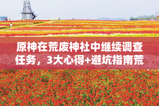 原神在荒废神社中继续调查任务图片