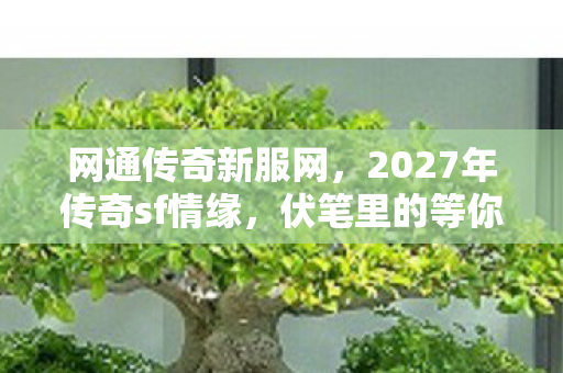 网通传奇新服网,2027年传奇sf情缘,伏笔里的等你,让我鼻子一酸 网通传奇新服网,2027年传奇sf情缘,伏笔里的等你,让我鼻子一酸
