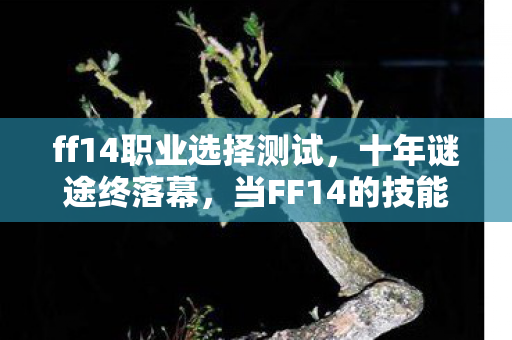 ff14职业选择测试,十年谜途终落幕,当FF14的技能栏变成时光胶囊 ff14职业选择测试,十年谜途终落幕,当FF14的技能栏变成时光胶囊