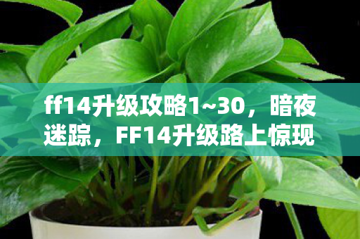 ff14升级攻略1~30,暗夜迷踪,FF14升级路上惊现悬案,毛骨悚然线索直指何方? ff14升级攻略1~30,暗夜迷踪,FF14升级路上惊现悬案,毛骨悚然线索直指何方?