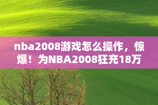nba2008游戏怎么操作，惊爆！为NBA2008狂充18万，老婆怒签离婚协议，我悔不当初！