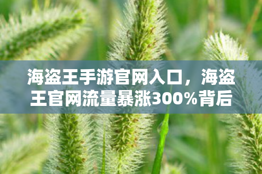 海盗王手游官网入口，海盗王官网流量暴涨300%背后，资本疑云密布，玩家心寒真相几何？