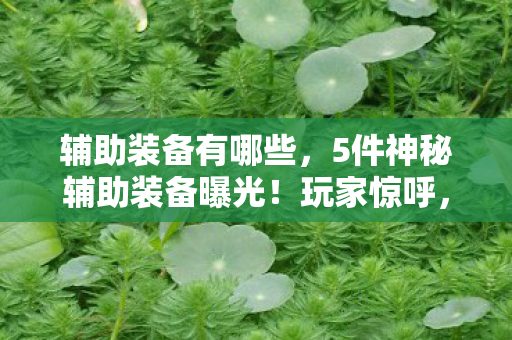 辅助装备有哪些,5件神秘辅助装备曝光!玩家惊呼,这设计逻辑太颠覆认知! 辅助装备有哪些,5件神秘辅助装备曝光!玩家惊呼,这设计逻辑太颠覆认知!