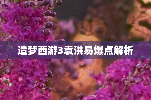 造梦西游3袁洪易爆点解析图片