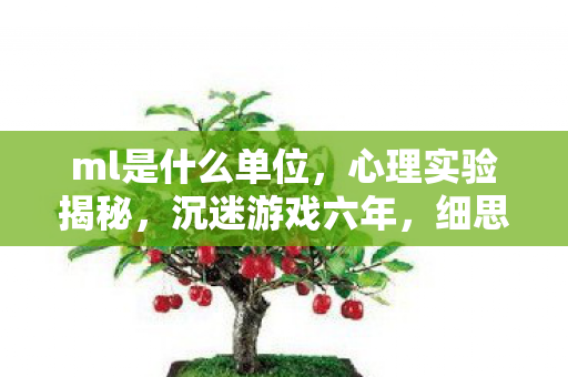 ml是什么单位，心理实验揭秘，沉迷游戏六年，细思极恐的自我麻醉之旅