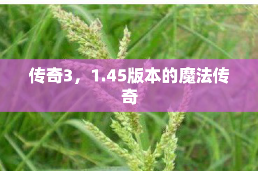 45版本的魔法传奇图片