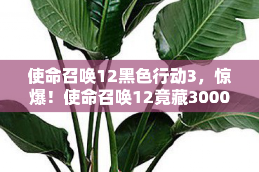 使命召唤12黑色行动3,惊爆!使命召唤12竟藏3000万隐情,离职老兵拍桌怒吼,真吓一跳! 使命召唤12黑色行动3,惊爆!使命召唤12竟藏3000万隐情,离职老兵拍桌怒吼,真吓一跳!
