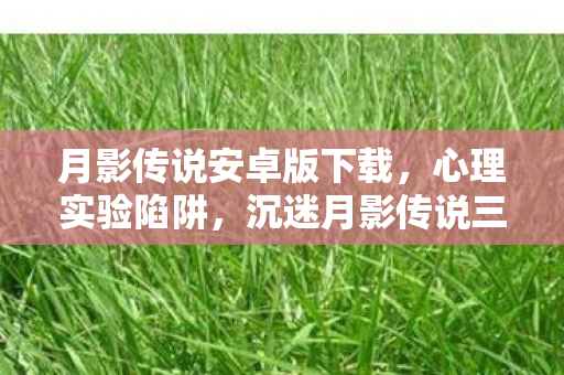 月影传说安卓版下载,心理实验陷阱,沉迷月影传说三年,细思极恐的自我囚禁 月影传说安卓版下载,心理实验陷阱,沉迷月影传说三年,细思极恐的自我囚禁