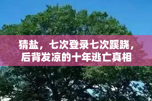 猜盐,七次登录七次蹊跷,后背发凉的十年逃亡真相 猜盐,七次登录七次蹊跷,后背发凉的十年逃亡真相