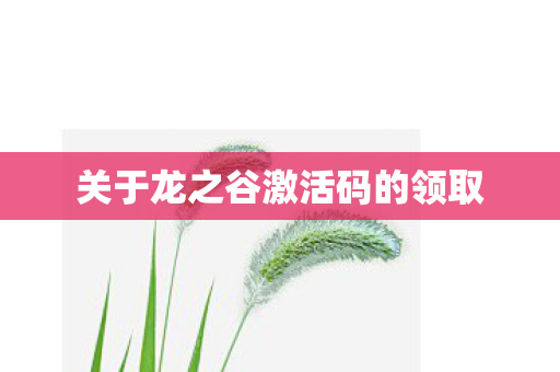 关于龙之谷激活码的领取图片