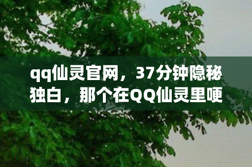 qq仙灵官网,37分钟隐秘独白,那个在QQ仙灵里哽咽的通宵夜 qq仙灵官网,37分钟隐秘独白,那个在QQ仙灵里哽咽的通宵夜