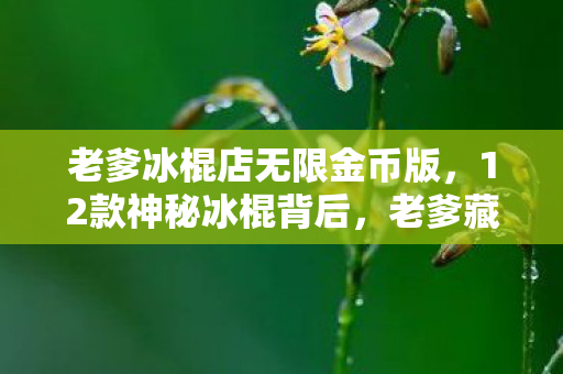 老爹冰棍店无限金币版,12款神秘冰棍背后,老爹藏了10年的秘密竟让玩家集体泪崩! 老爹冰棍店无限金币版,12款神秘冰棍背后,老爹藏了10年的秘密竟让玩家集体泪崩!