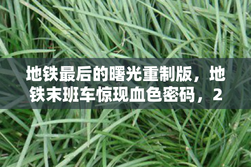 地铁最后的曙光重制版,地铁末班车惊现血色密码,2027年连环悬案,谁在黑暗中编织毛骨悚然的死亡乐章? 地铁最后的曙光重制版,地铁末班车惊现血色密码,2027年连环悬案,谁在黑暗中编织毛骨悚然的死亡乐章?