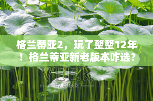 格兰蒂亚2,玩了整整12年!格兰蒂亚新老版本咋选?老玩家纠结到失眠 格兰蒂亚2,玩了整整12年!格兰蒂亚新老版本咋选?老玩家纠结到失眠