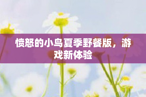 愤怒的小鸟夏季野餐版图片