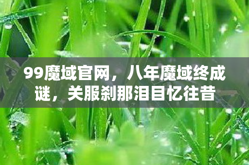 99魔域官网，八年魔域终成谜，关服刹那泪目忆往昔