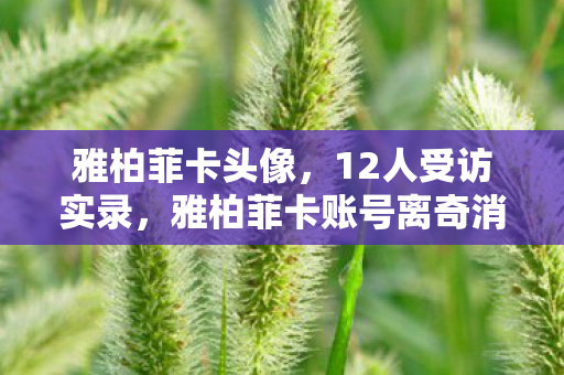 雅柏菲卡头像,12人受访实录,雅柏菲卡账号离奇消失?网吧老炮当场绷不住 雅柏菲卡头像,12人受访实录,雅柏菲卡账号离奇消失?网吧老炮当场绷不住