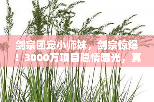 剑宗团宠小师妹，剑宗惊爆！3000万项目隐情曝光，真相让人吓一跳！
