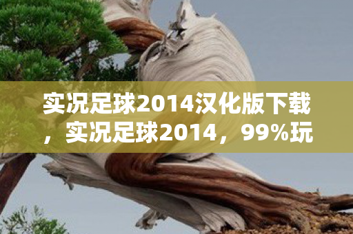 实况足球2014汉化版下载,实况足球2014,99%玩家未解的隐藏机制,竟藏着多少青春的遗憾? 实况足球2014汉化版下载,实况足球2014,99%玩家未解的隐藏机制,竟藏着多少青春的遗憾?
