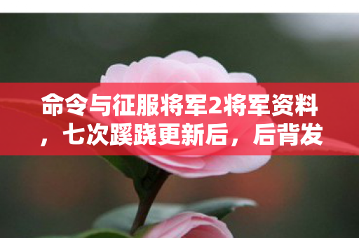 命令与征服将军2将军资料,七次蹊跷更新后,后背发凉,我竟被这游戏玩了半辈子? 命令与征服将军2将军资料,七次蹊跷更新后,后背发凉,我竟被这游戏玩了半辈子?