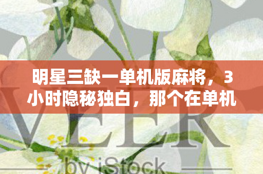 明星三缺一单机版麻将,3小时隐秘独白,那个在单机版里哽咽的深夜,你还记得吗? 明星三缺一单机版麻将,3小时隐秘独白,那个在单机版里哽咽的深夜,你还记得吗?