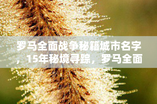 罗马全面战争秘籍城市名字，15年秘境寻踪，罗马全面战争秘籍背后的帝国兴衰泪目史