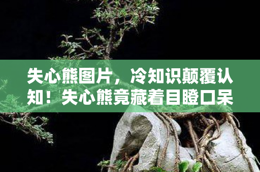 失心熊图片,冷知识颠覆认知!失心熊竟藏着目瞪口呆的十年谎言 失心熊图片,冷知识颠覆认知!失心熊竟藏着目瞪口呆的十年谎言