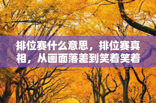 排位赛什么意思，排位赛真相，从画面落差到笑着笑着哭了，谁还在为它坚守？
