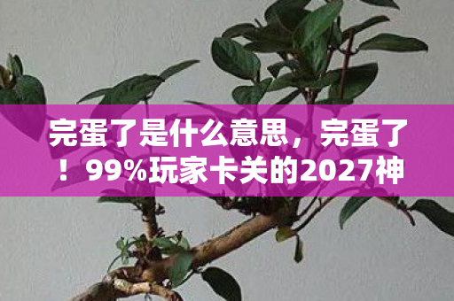 玩家卡关的2027神作图片