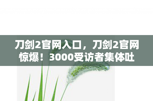 刀剑2官网入口,刀剑2官网惊爆!3000受访者集体吐槽,这疑点让我在网吧笑到绷不住 刀剑2官网入口,刀剑2官网惊爆!3000受访者集体吐槽,这疑点让我在网吧笑到绷不住