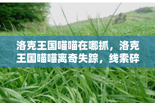 洛克王国喵喵在哪抓,洛克王国喵喵离奇失踪,线索碎片拼出悬案,毛骨悚然真相藏于2026年 洛克王国喵喵在哪抓,洛克王国喵喵离奇失踪,线索碎片拼出悬案,毛骨悚然真相藏于2026年