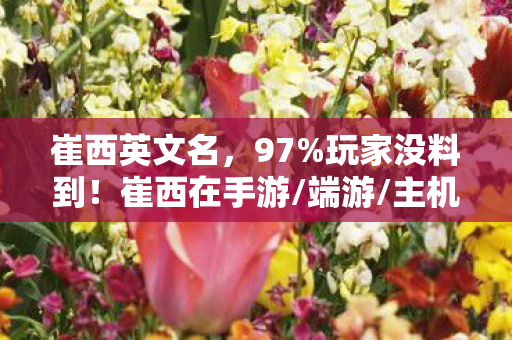 崔西英文名,97%玩家没料到!崔西在手游/端游/主机操控感竟差出银河系 崔西英文名,97%玩家没料到!崔西在手游/端游/主机操控感竟差出银河系
