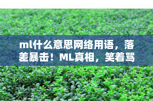 ml什么意思网络用语，落差暴击！ML真相，笑着骂它狗，哭着充月卡