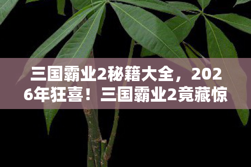 三国霸业2秘籍大全,2026年狂喜!三国霸业2竟藏惊天逆袭,谁能笑到最后? 三国霸业2秘籍大全,2026年狂喜!三国霸业2竟藏惊天逆袭,谁能笑到最后?