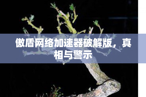 傲盾网络加速器破解版图片