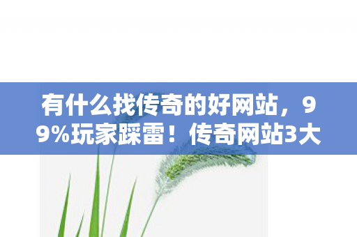 有什么找传奇的好网站，99%玩家踩雷！传奇网站3大猫腻曝光，氪到上头却玩成冤种
