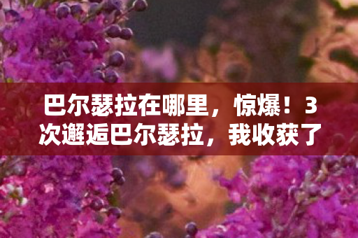 巴尔瑟拉在哪里,惊爆!3次邂逅巴尔瑟拉,我收获了前所未有的震撼体验! 巴尔瑟拉在哪里,惊爆!3次邂逅巴尔瑟拉,我收获了前所未有的震撼体验!