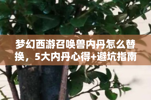 梦幻西游召唤兽内丹怎么替换,5大内丹心得+避坑指南让你的召唤兽战力飙升30%! 梦幻西游召唤兽内丹怎么替换,5大内丹心得+避坑指南让你的召唤兽战力飙升30%!