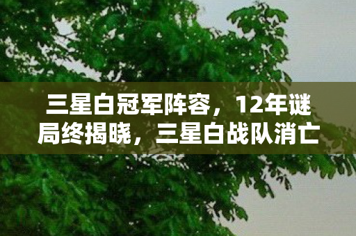 三星白冠军阵容,三星白项目惊爆!3000万预算背后隐情,结果让人吓一跳! 三星白冠军阵容,三星白项目惊爆!3000万预算背后隐情,结果让人吓一跳!