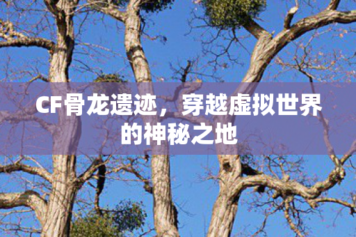穿越虚拟世界的神秘之地图片