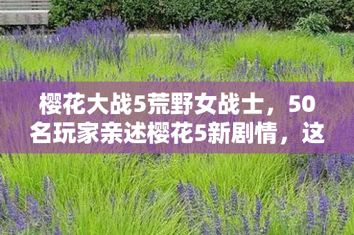 火炬之光2存档文件位置,2027存档里的伏笔,凌晨三点那句等你,让我鼻子一酸 火炬之光2存档文件位置,2027存档里的伏笔,凌晨三点那句等你,让我鼻子一酸