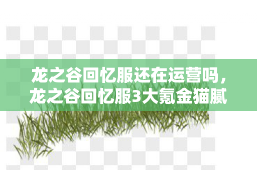 艾尔登法环洗点在哪里,艾尔登法环洗点悖论,当神性选择撞碎命运枷锁,灵魂震颤的层级裂变 艾尔登法环洗点在哪里,艾尔登法环洗点悖论,当神性选择撞碎命运枷锁,灵魂震颤的层级裂变